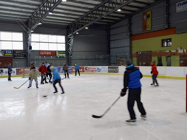 Veřejné Bruslení 2017