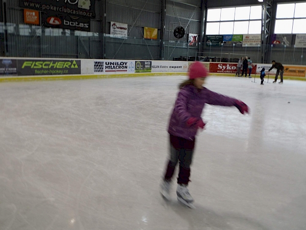Veřejné Bruslení 2017