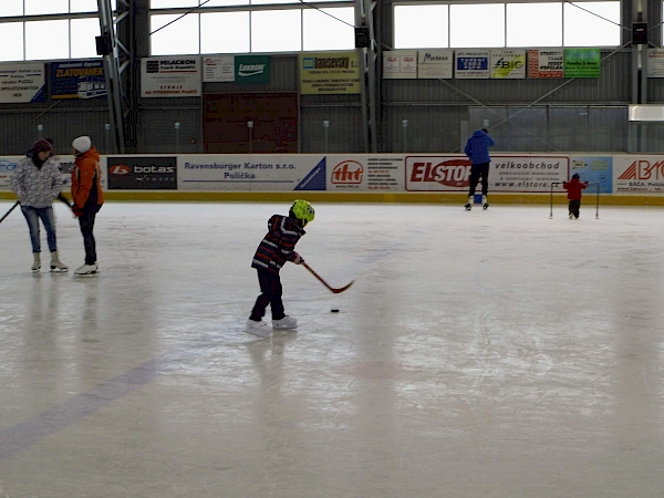 Veřejné Bruslení 2017